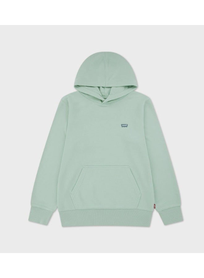 LVB MINI BATWING PULL OVER HOO