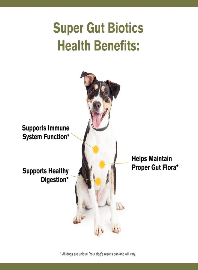 Badlands Ranch - Super Gut Biotics Canine Digestive Supplement,Probiotics, Prebiotics, Supports Healthy Digestion, Immune System Function and Gut Flora by Katherine Heigl (30 Scoops) - Image 5