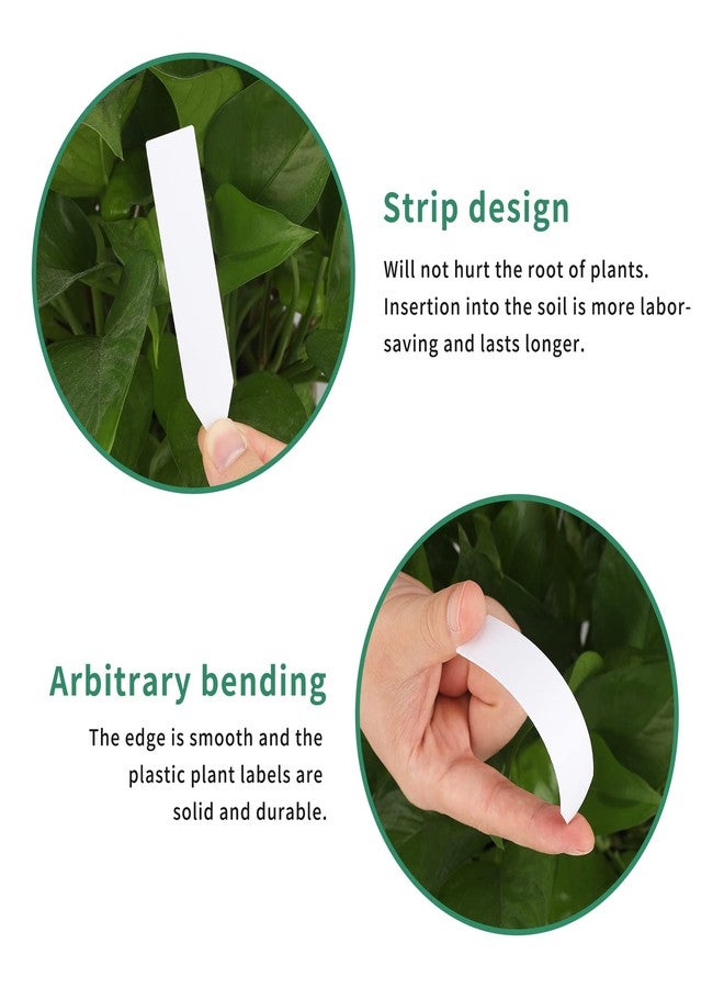 كينجلاك كينغليك، 100 قطعة من ملصقات النباتات البلاستيكية مقاس 4 بوصات، علامات للأصص، علامات للحدائق المنزلية، ملصقات بيضاء - Image 3