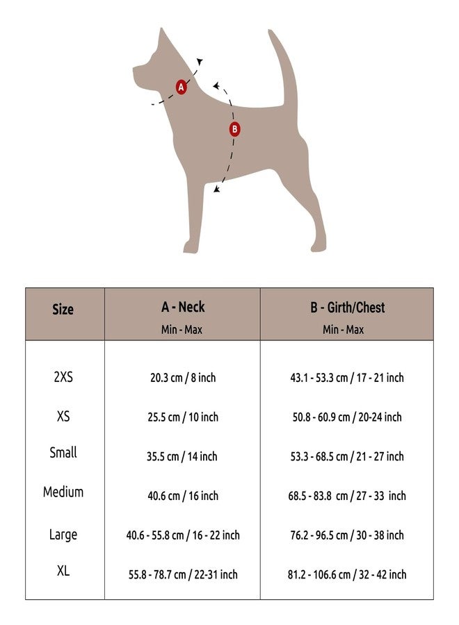 Mutt of Course سرج كلاب من Mutt of Course Pupsicicles | محيط الرقبة - 16 بوصة (متوسط) | مناسب للكلاب متوسطة الحجم مثل البيغل والكلاب الهندية وغيرها، أزرق - Image 5