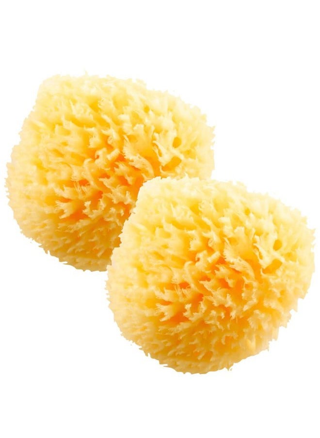 HartFelt - Natural Bath Sponge 4in Ultra Soft Premium Sea Wool Sponge Soft on Tender Skin, Biodegradable, 2pk - Image 1