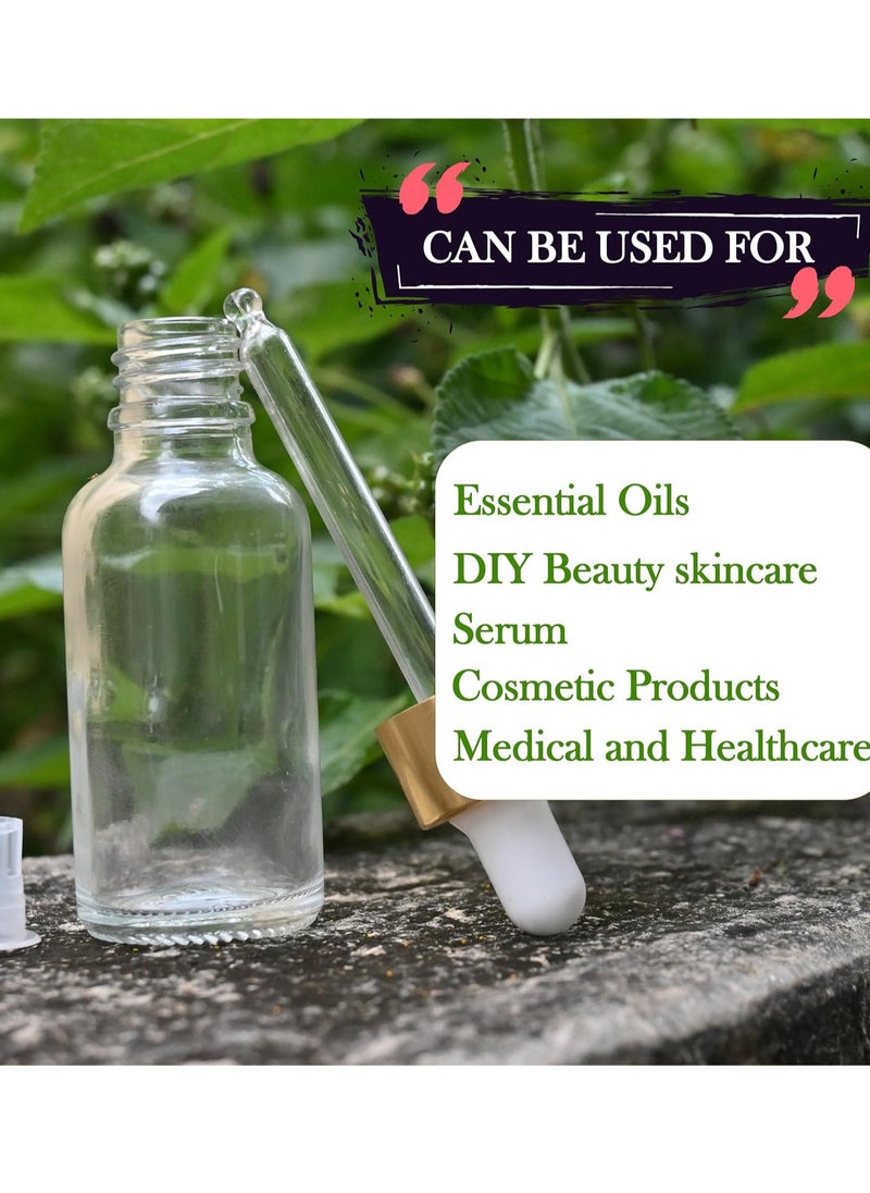 BOTTLE BRIGHT - 30ml Clear Refillable Empty Glass Bottles with Dropper for  Essential Oils Aromatherapy Blends Perfume - 3 Pieces - Image 1