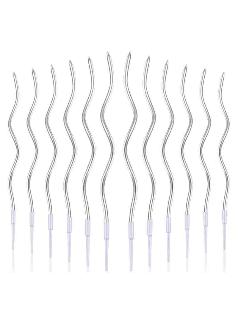 HOME ZONE 12 Twisted Birthday Candles Spiral Cake Candles Metallic Cupcake Cake Candles Thin Long Cake Candles with Holders (Silver) - Image 1