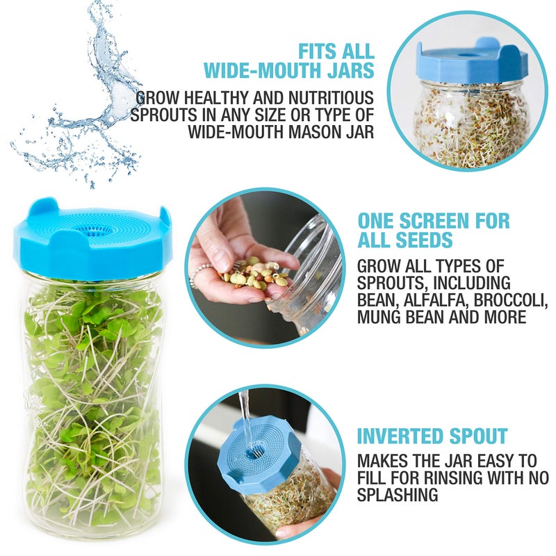 Masontops Bean Screen Plastic Mason Jar Sprouting Lids Mason Jar Sprouting Kit – For Growing Broccoli Seeds, Alfalfa, Mung Bean Sprouts – Wide Mouth Seed Sprouting Jar Lids Sprouting Kit Mason Jar - Image 3
