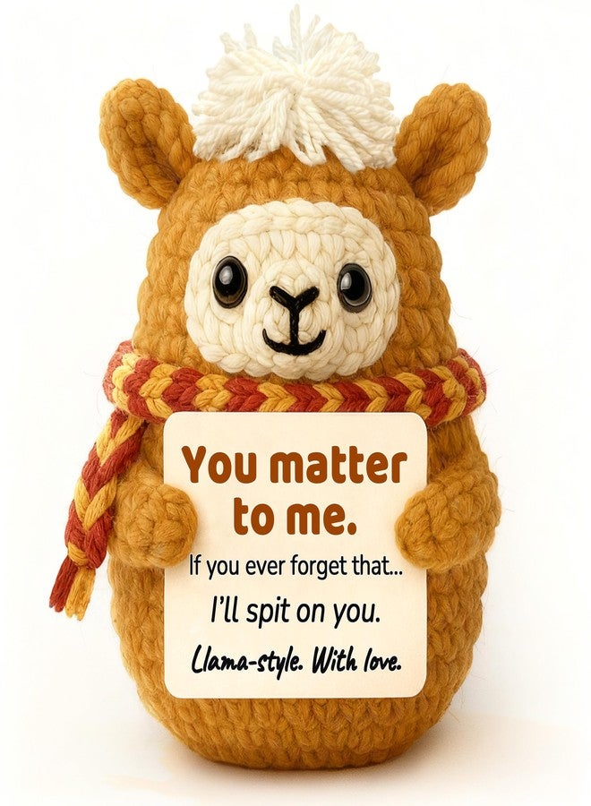 Krinisou Positive Animals Crochet Llama – Funny Cute Llama Birthday Gift for Best Friend Bestie, Romantic You Matter to Me Gift for Girlfriend Boyfriend - Image 1