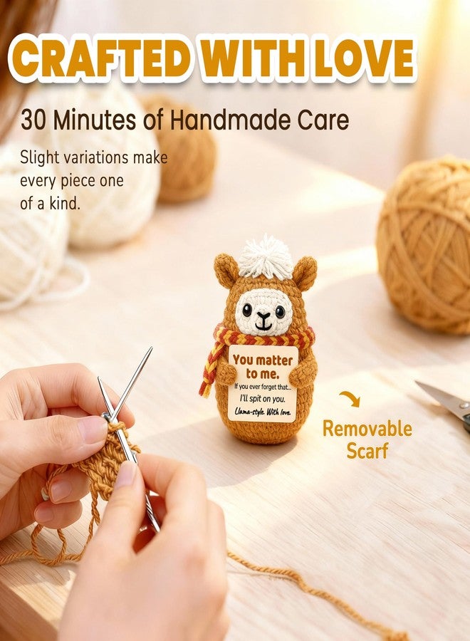 Krinisou Positive Animals Crochet Llama – Funny Cute Llama Birthday Gift for Best Friend Bestie, Romantic You Matter to Me Gift for Girlfriend Boyfriend - Image 5
