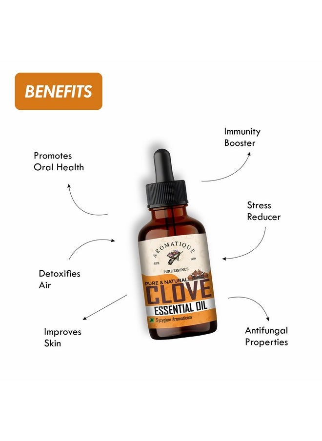 AROMATIQUE - Pure Clove Oil For Teeth Pain- Natural Aromatic Essence For Freshening Ambiance, Dental Care, And Diy Skincare - Pure & Undiluted, 15Ml - Image 1