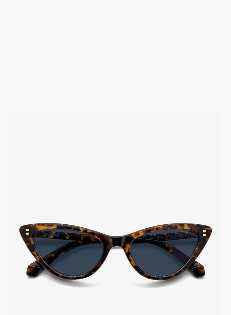 Polaroid  Cat Eye Sunglasses for Women | Best Price UAE