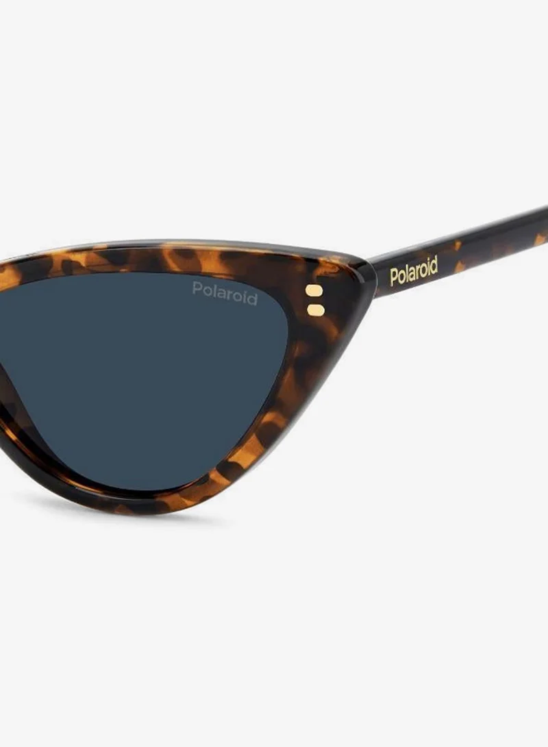 Polaroid  Cat Eye Sunglasses for Women | Best Price UAE