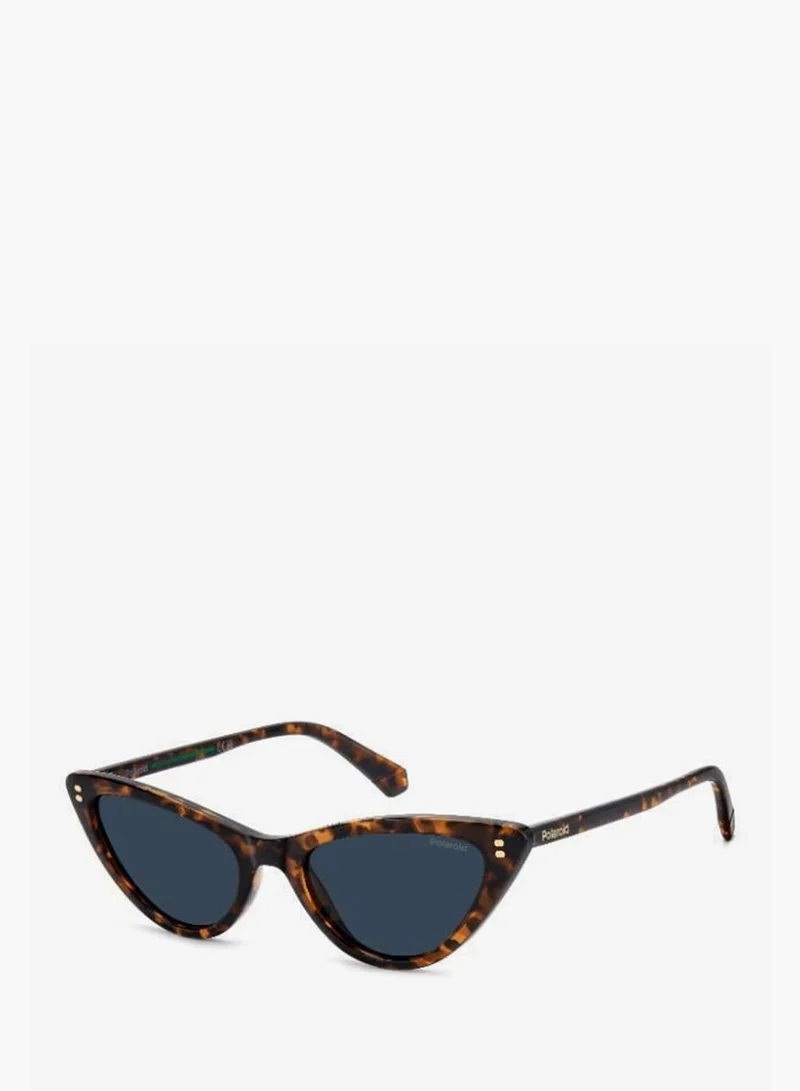 Polaroid  Cat Eye Sunglasses for Women | Best Price UAE