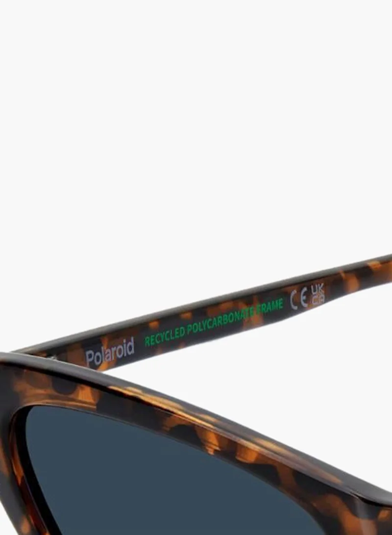 Polaroid  Cat Eye Sunglasses for Women | Best Price UAE