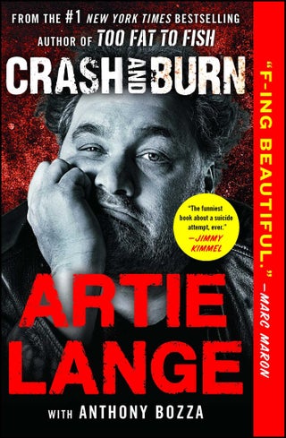 Crash and Burn - pzsku/Z2174993518012DFB8DCFZ/45/_/1734598559/af923be5-7678-4cdb-89a3-fe3a87649bec