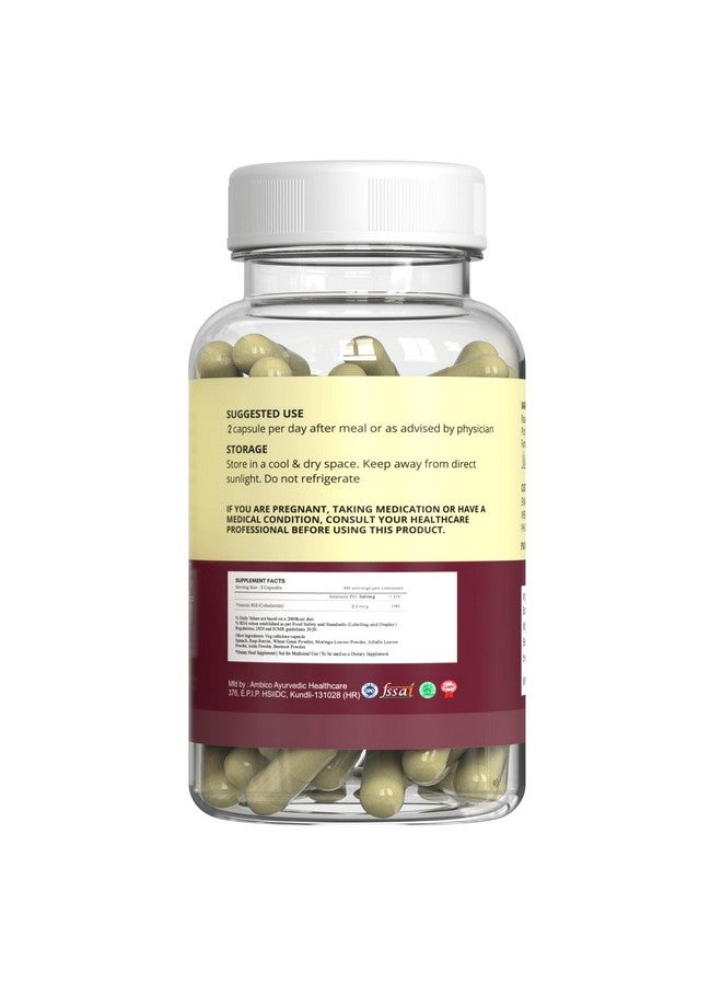 Rasayanam Plant Based Vitamin B12 and Curcumin+ 1500mg | Organic Formulation for Vegetarians & Vegans to Support Nervous System & Brain Function | Health Supplement for Men and Women - Image 3