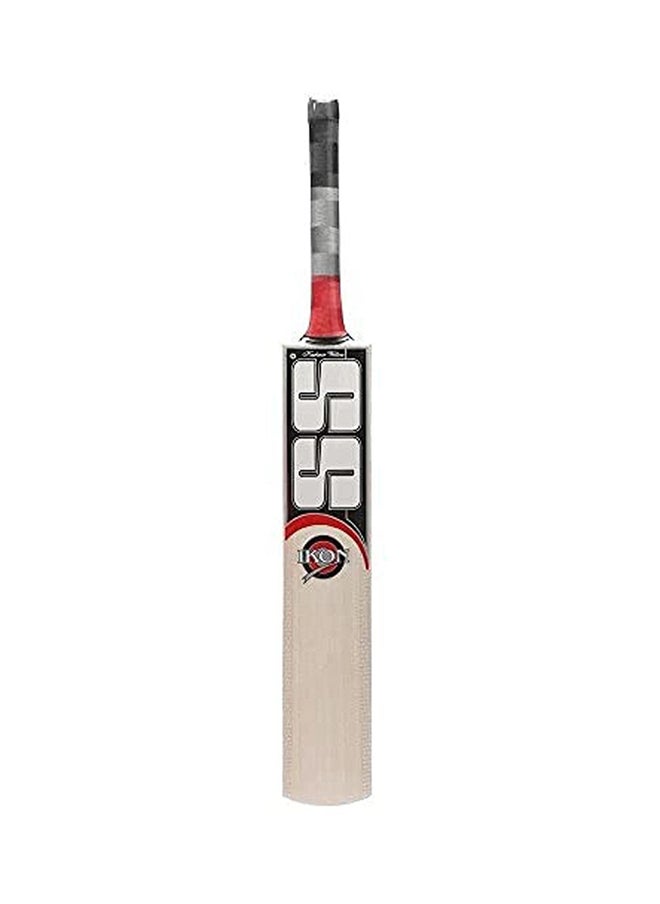 SS Ikon Kashmir Willow Cricket Bat  - Image 1