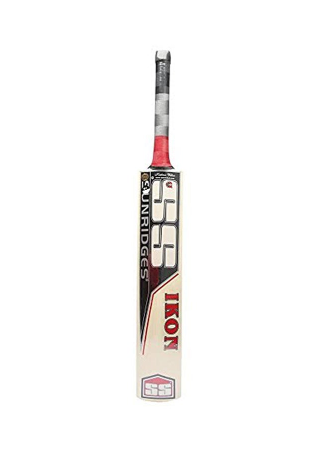 SS Ikon Kashmir Willow Cricket Bat  - Image 2