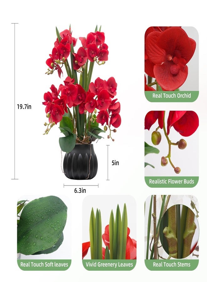 CXGS Artificial Orchid Flower Plant 19.7'' Real Touch Faux Orchids in Ceramic Vase Red Fake Phalaenopsis Flower Arrangement Silk Orchids with Stems for Centerpiece Table Home Indoor Decor - Image 2