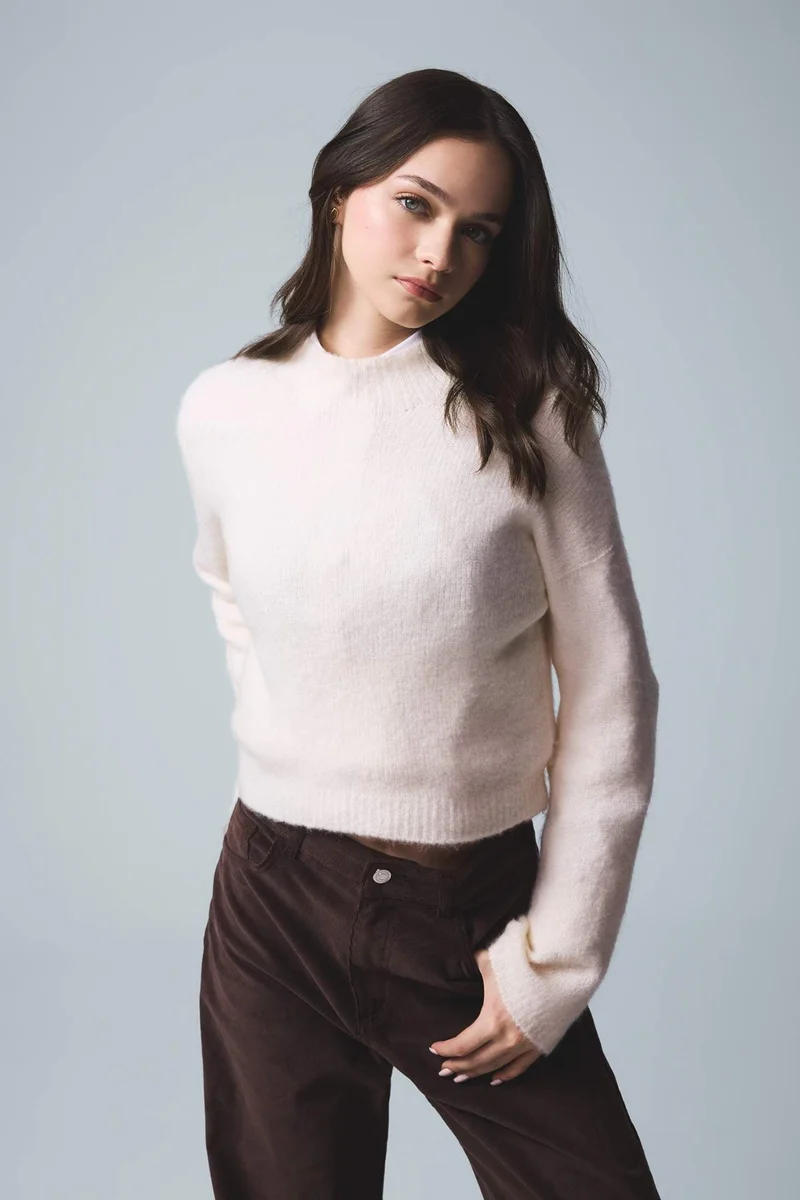 DeFacto Regular Fit Crew Neck Knitwear Pullover