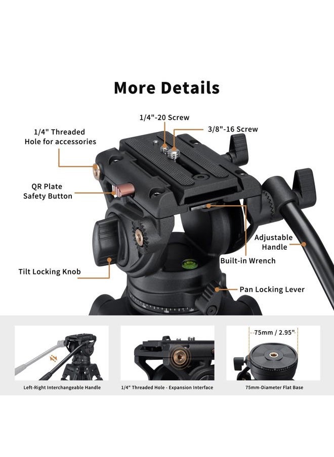 Cayer - BV30L Video Tripod System, 72" Heavy Duty Aluminum Twin Tube Tripod with K3 Fluid Head, 75mm Flat Base, Max Load 13.2lbs, for DSLR Cameras, Camcorders, Includes 2 Quick Release Plates - Image 1