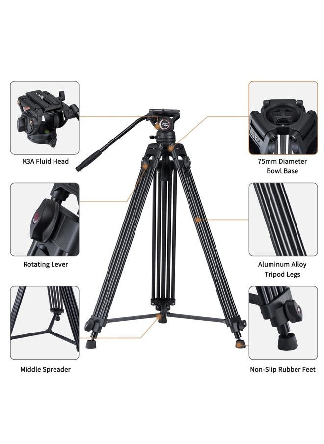 Cayer - BV30L Video Tripod System, 72" Heavy Duty Aluminum Twin Tube Tripod with K3 Fluid Head, 75mm Flat Base, Max Load 13.2lbs, for DSLR Cameras, Camcorders, Includes 2 Quick Release Plates - Image 1