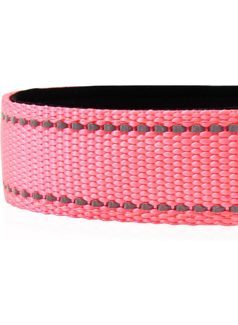Q TRIPLE A Reflective Dog Collar with Soft Neoprene Padding, Metal D-Ring and Adjustable Length, Premium Nylon Material (Color: Baby Pink) - Image 2
