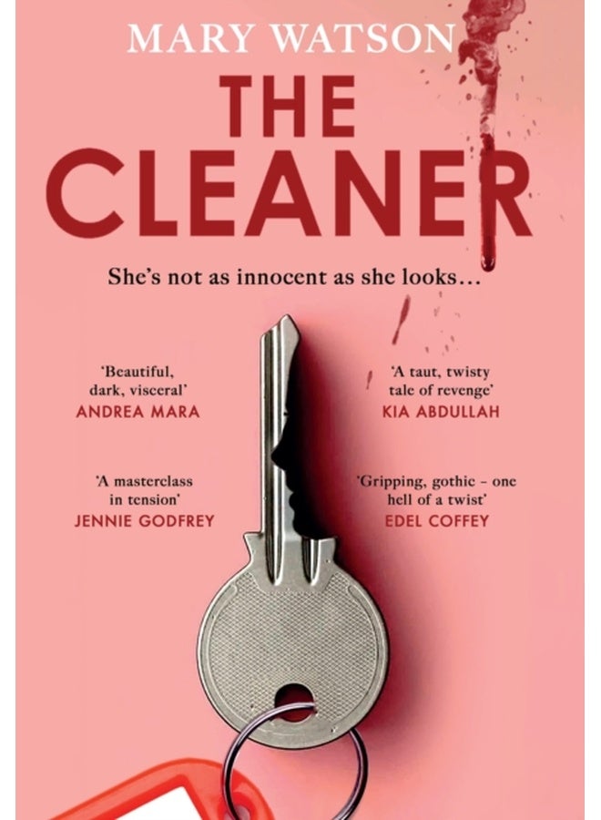 The Cleaner 