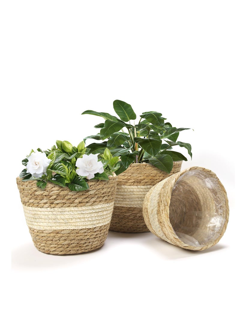 D&L Set Of 3 Plant Baskets Flower Pots Seagrass Flower Pot Baskets Indoor With Plastic Liner Water Hyacinth And Corn Stalk Woven Planters Flower Basket Planter Basket For Home Floor Potted Pots Decor Covers Plant Containers  - Image 1