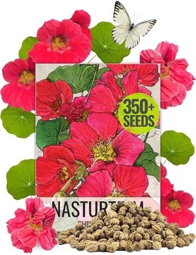 Seed Needs Nasturtium Seeds Cherry Rose Variety | 350+ Seeds Tropaeolum Minus Annual Flower Seed | Edible Flowers Red Cherry Color Prolific Blooms | Nasturtiums Flowering Seed Garden Favorite | Bulk - Image 5