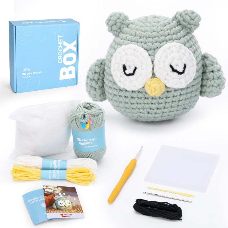 Complete Beginners Crochet Kit Owl Crochet Kit All You Need for Crocheting StepbyStep Video Tutorials Instruction Tools Holiday Birthday Gift for Adults Teens