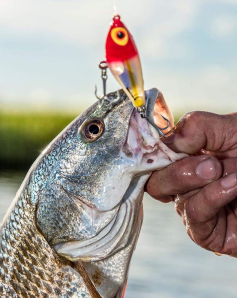 BOMBER Lures Badonk-A-Donk High Pitch Saltwater Grade, (4-Inch) - Redhead Flash, (BSWDTH4345) - Image 5