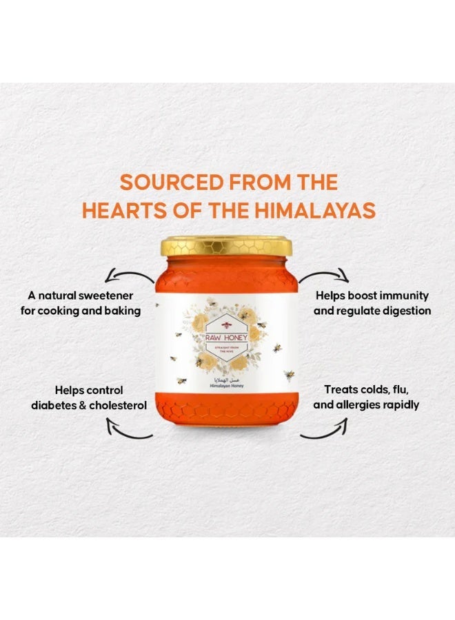 Raw Honey Himalayan Sidr Honey - Image 1