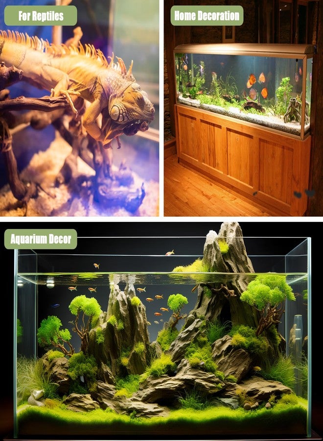 LYPHARD AQUARIUMS Driftwood for Aquarium, 3 Pieces 6-10" Natural Small Drift Wood Fish Tank Assorted Branch Decorations Pieces for Reptile Hide - Image 5