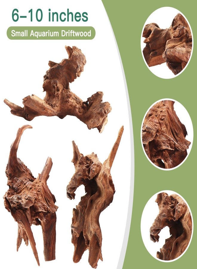 LYPHARD AQUARIUMS Driftwood for Aquarium, 3 Pieces 6-10" Natural Small Drift Wood Fish Tank Assorted Branch Decorations Pieces for Reptile Hide - Image 2