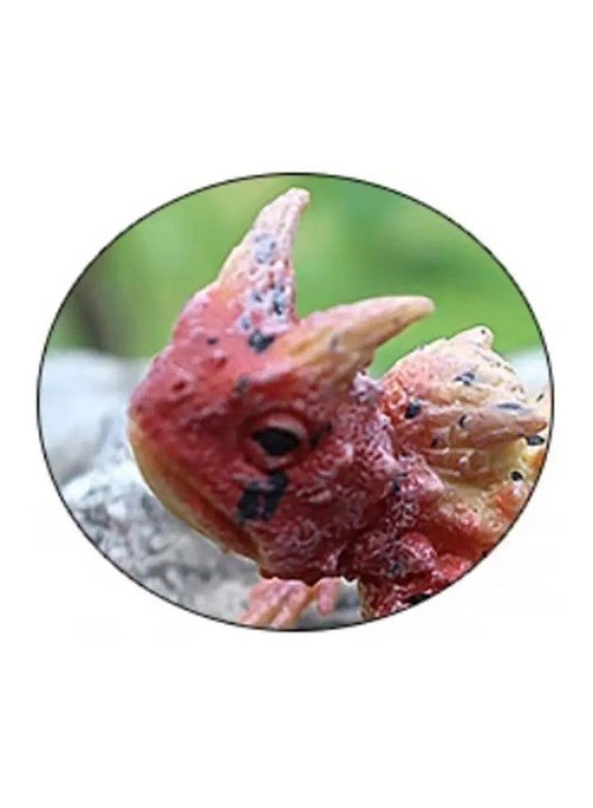 سوبر توي لعبة زواحف رائعة للأطفال، تمثال سحلية أبو بريص واقعي، حيوان مطاطي ذو دم بارد، ألعاب مقالب ناعمة، هدية تعليمية للأولاد والبنات - Image 5