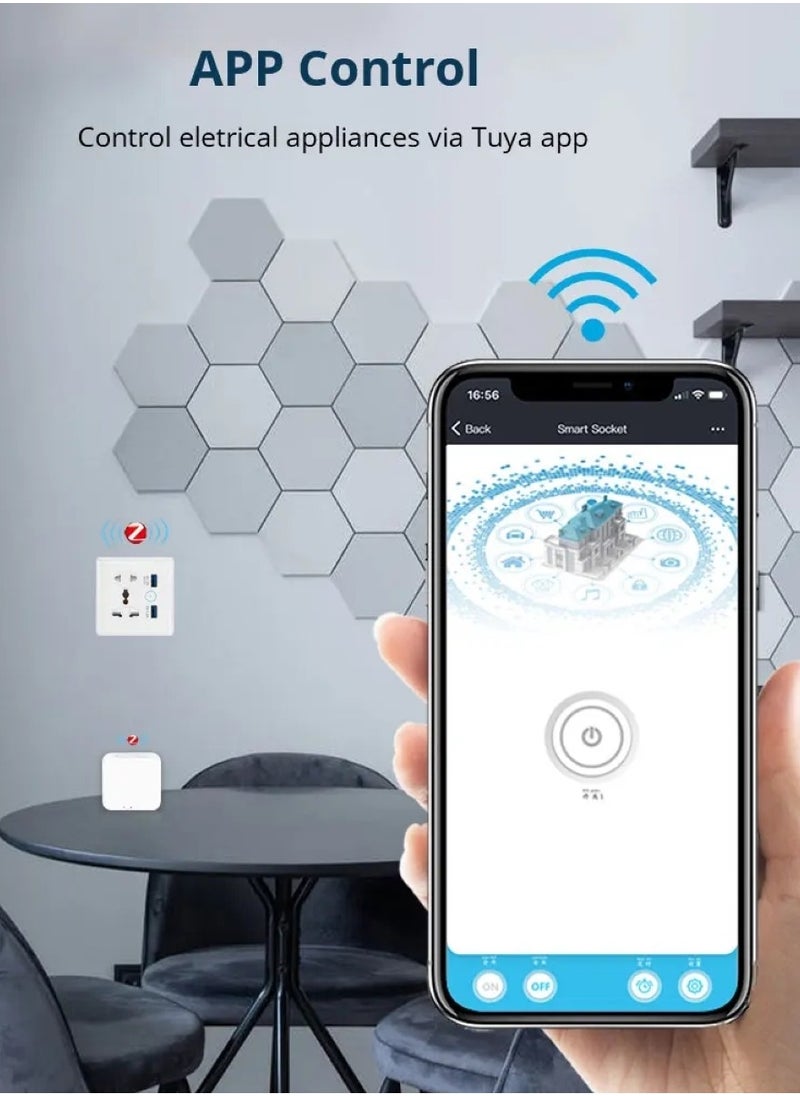 ALINK - Smart Wall Wifi Outlet Wall Socket with USB WiFi Wall Plug Compatible with Apple Homekit Works with Siri Alexa Google Home No Hub Required - Image 1