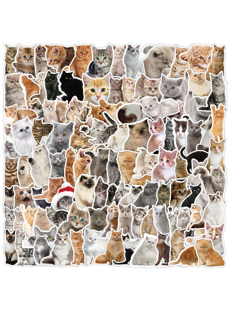 قوس قزح أورينبو 100 قطعة من ملصقات القطط المضحكة غير المتكررة المصنوعة من الفينيل المقاومة للماء للبالغين وملصقات الكمبيوتر المحمول والتزلج وزجاجات المياه والسيارات وملصقات القصاصات - Image 1
