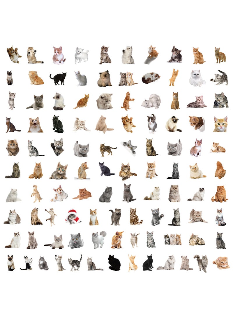 قوس قزح أورينبو 100 قطعة من ملصقات القطط المضحكة غير المتكررة المصنوعة من الفينيل المقاومة للماء للبالغين وملصقات الكمبيوتر المحمول والتزلج وزجاجات المياه والسيارات وملصقات القصاصات - Image 2