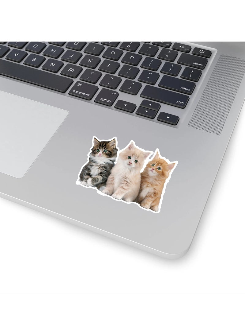 قوس قزح أورينبو 100 قطعة من ملصقات القطط المضحكة غير المتكررة المصنوعة من الفينيل المقاومة للماء للبالغين وملصقات الكمبيوتر المحمول والتزلج وزجاجات المياه والسيارات وملصقات القصاصات - Image 3