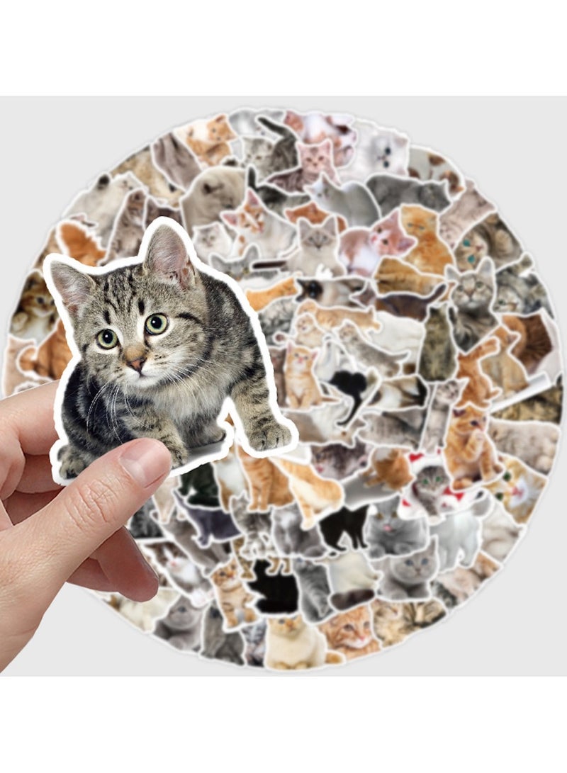 قوس قزح أورينبو 100 قطعة من ملصقات القطط المضحكة غير المتكررة المصنوعة من الفينيل المقاومة للماء للبالغين وملصقات الكمبيوتر المحمول والتزلج وزجاجات المياه والسيارات وملصقات القصاصات - Image 4