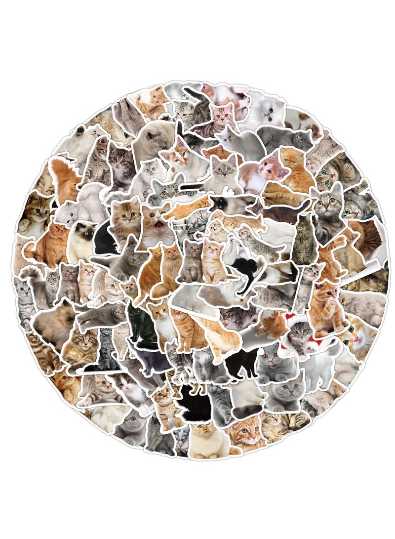 قوس قزح أورينبو 100 قطعة من ملصقات القطط المضحكة غير المتكررة المصنوعة من الفينيل المقاومة للماء للبالغين وملصقات الكمبيوتر المحمول والتزلج وزجاجات المياه والسيارات وملصقات القصاصات - Image 5