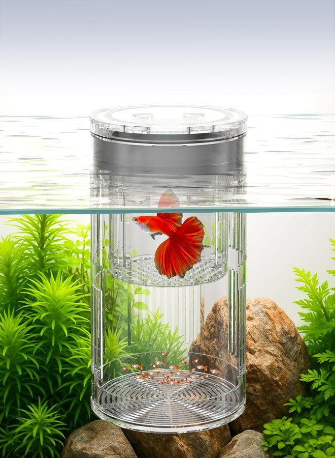 FKSC Floating Acrylic Breeder Box for Fish Tank - Aquarium Isolation Separator Hatchery Incubator for Guppy, Betta, Clownfish, Coral, Baby & Injured Fish - Image 1