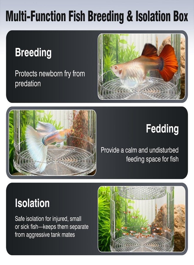 FKSC Floating Acrylic Breeder Box for Fish Tank - Aquarium Isolation Separator Hatchery Incubator for Guppy, Betta, Clownfish, Coral, Baby & Injured Fish - Image 2
