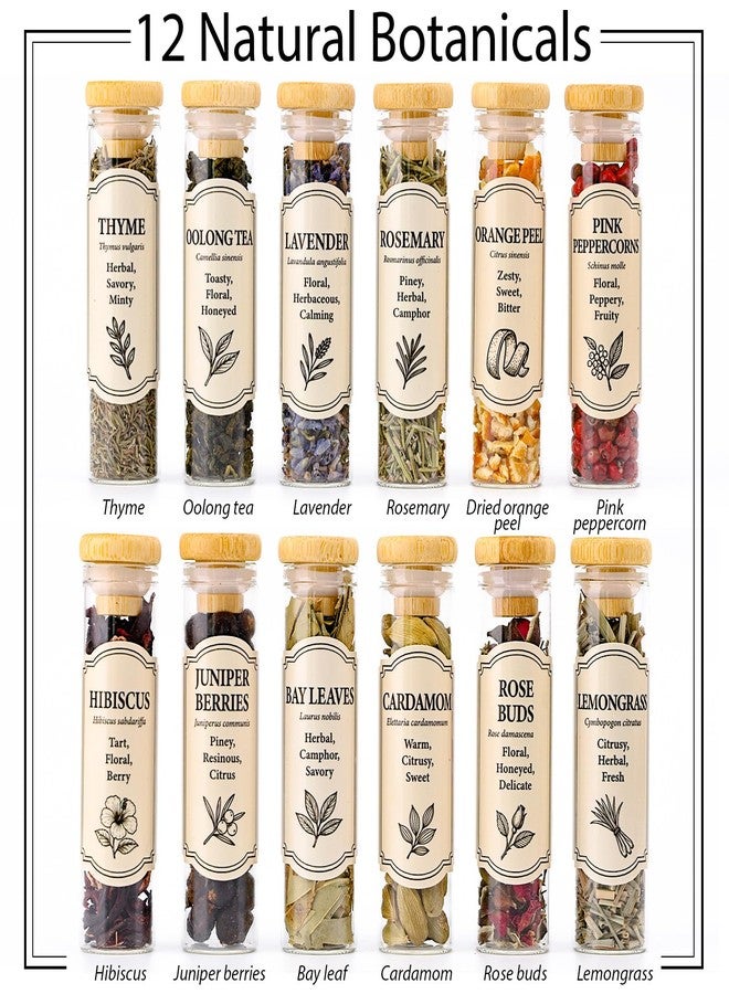 Apragaz Gin Making Kit, DIY Gin Infusion Kit with 12 Botanicals and Recipe Guide, Make Your Own Flavored Gin for Gin Lovers and Drinkers, Gin & Tonic, Cocktail - Christmas, Birthday Gift for Men, Women - Image 3
