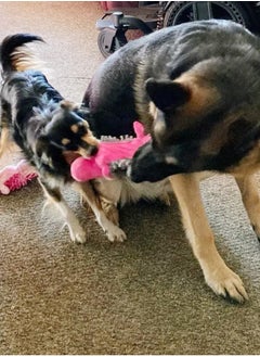 KASTWAVE Dog Squeaky Toys, 3 PCS Plush Dogs Chew Toy Interactive Dog Toys for Small Medium Large Breed, Assorted Colors  Funny Style Will Entertain Your Dog for Hours  - Image 5