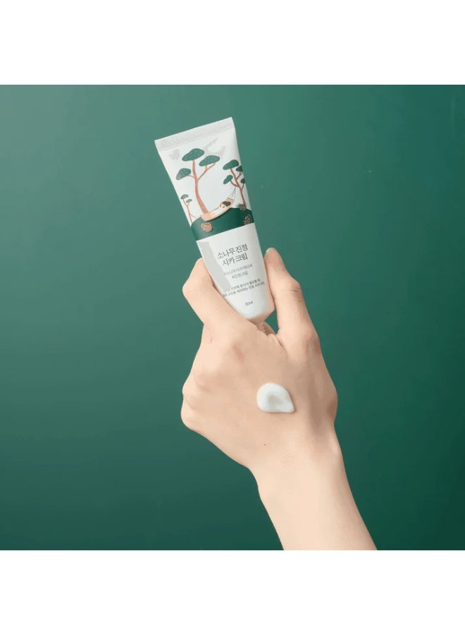 ROUND LAB Pine Calming Cica Cream 50 ml - Image 4