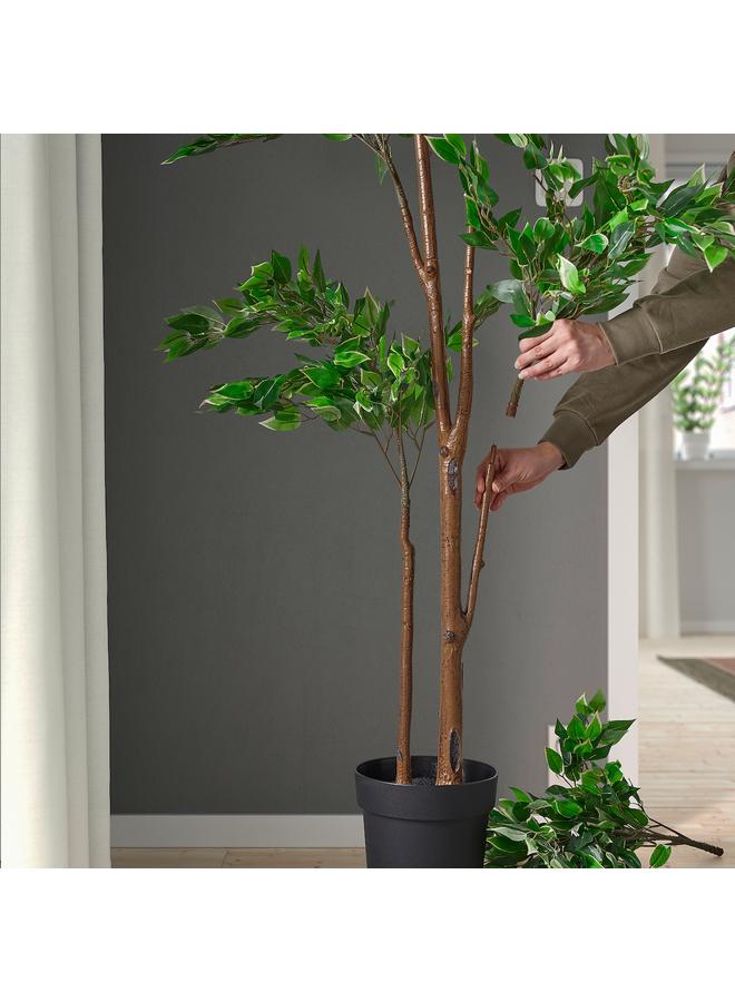 erorex Artificial Potted Plant, In/Outdoor Weeping Fig, 21 Cm - Image 4