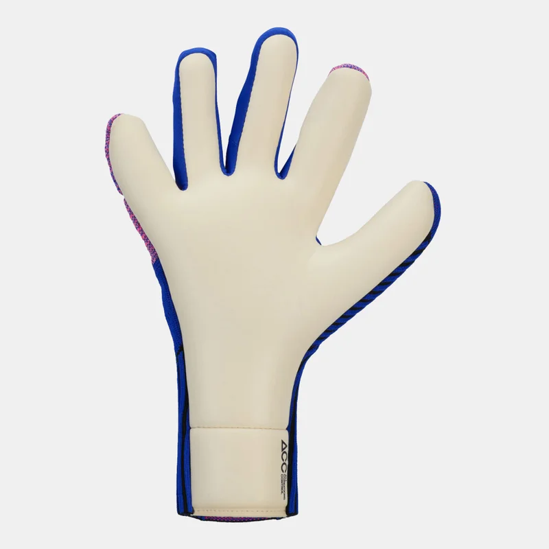 Nike Blue Phantom Dynamic Fit Football Goalkeeper Gloves  | Best Price UAE