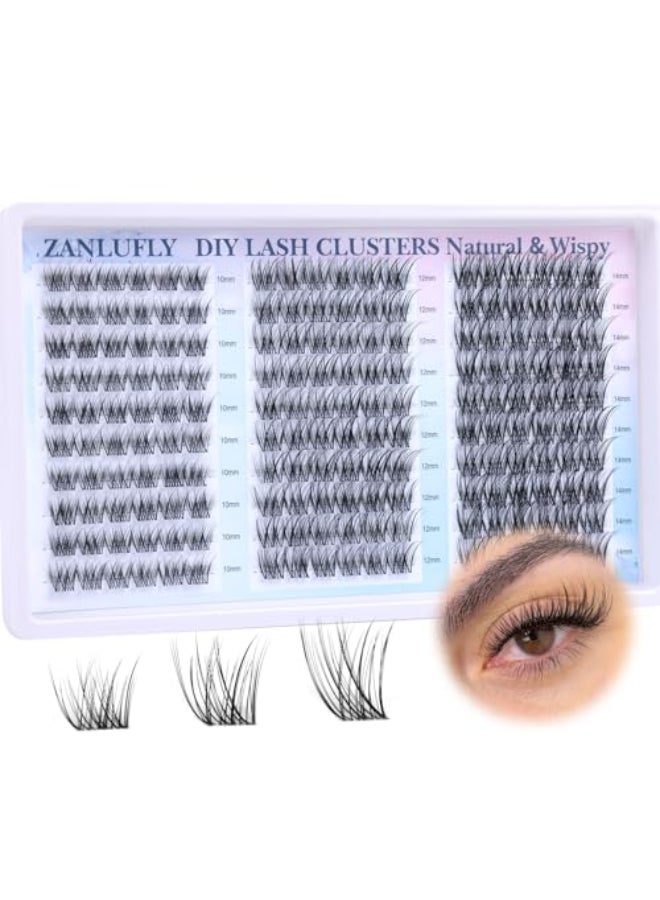 zanlufly Lash Clusters Wispy Eyelash Clusters Natural CCCurly Cluster Lashes zanlufly Wispy Individual Lashes 180Pcs Eyelash Extension 10 12 14MM DIY Lash Extension - Image 1