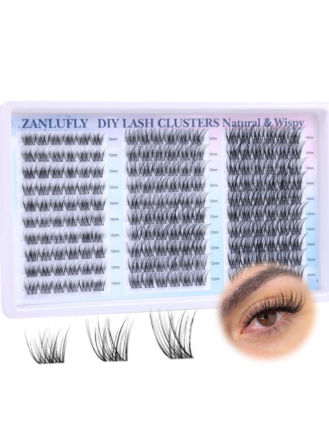 zanlufly Lash Clusters Wispy Eyelash Clusters Natural CCCurly Cluster Lashes zanlufly Wispy Individual Lashes 180Pcs Eyelash Extension 10 12 14MM DIY Lash Extension - Image 2