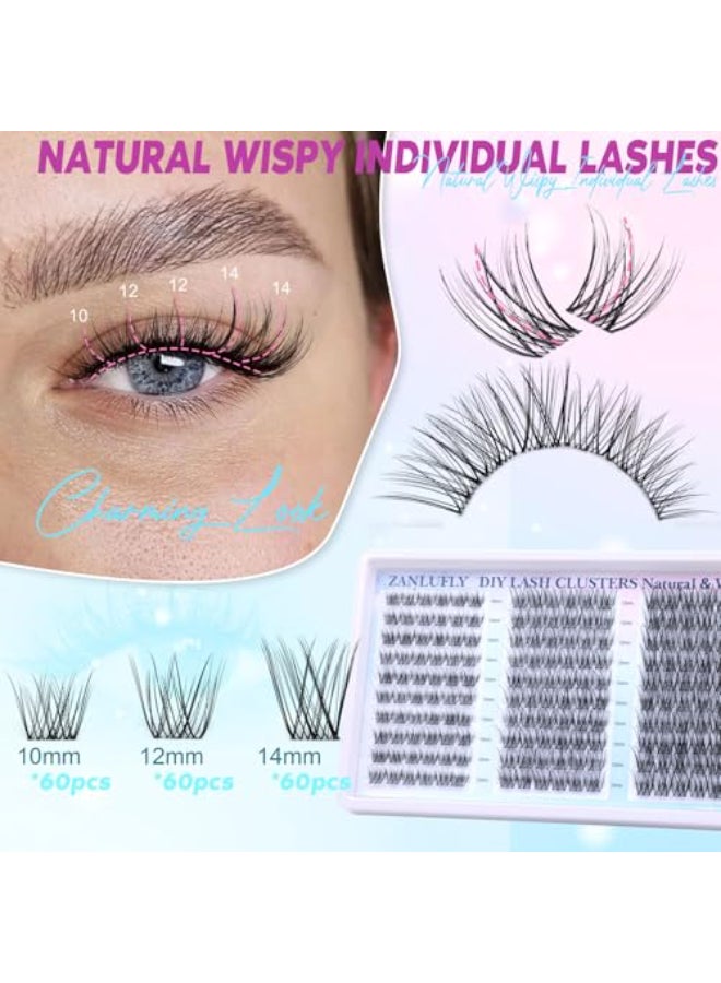 zanlufly Lash Clusters Wispy Eyelash Clusters Natural CCCurly Cluster Lashes zanlufly Wispy Individual Lashes 180Pcs Eyelash Extension 10 12 14MM DIY Lash Extension - Image 3
