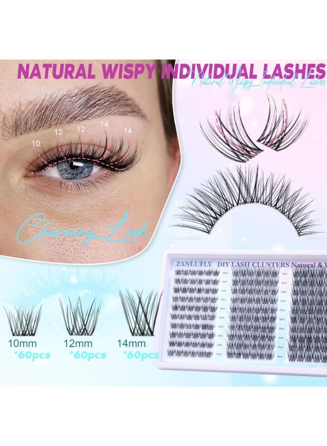zanlufly Lash Clusters Wispy Eyelash Clusters Natural CCCurly Cluster Lashes zanlufly Wispy Individual Lashes 180Pcs Eyelash Extension 10 12 14MM DIY Lash Extension - Image 4